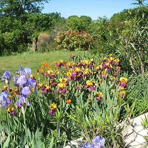 Bed & Breakfast La Cigaline, Villedieu (Vaucluse)